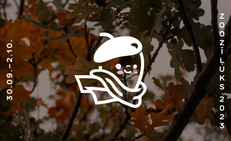 Zoozīļuks aicina lasīt ozolzīles un radoši darboties