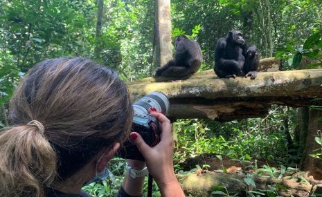Rīga ZOO būs apskatāma Jūlijas Zandersones savvaļas dzīvnieku fotogrāfiju izstāde