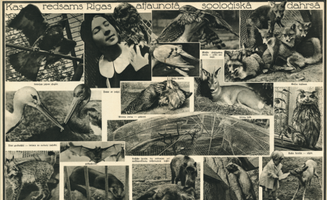 Rīgas Zooloģiskais dārzs svin 113. gadadienu 