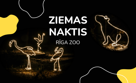 Ziemas naktis atgriežas Rīga ZOO! 