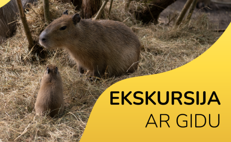Pievienojies ekskursijas grupai!