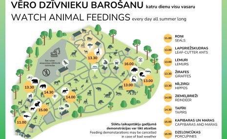 Vēro dzīvnieku barošanu Rīga ZOO katru dienu!