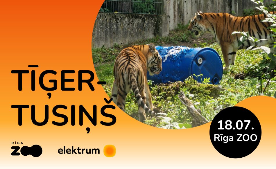 Rīga ZOO aicina uz Tīģertusiņu!